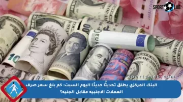 البنك المركزي يطلق تحديثًا جديدًا اليوم السبت: كم بلغ سعر صرف العملات الأجنبية مقابل الجنيه؟